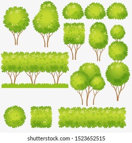 Hedge, clipped bushes for landscape design. Vector images of green tree and bush