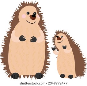 Hedge hog vector image or clipart
