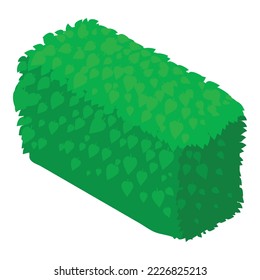 Vector isométrico del icono de borde. Icono rectangular de cubierta verde natural. Jardinería, elemento paisajístico