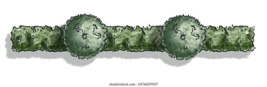 A hedge of trimmed bushes and trees. Top view close-up topiary shapes. Pictograms for landscape design master plans in sketch style with shadow. Isolated on white background. Vector.