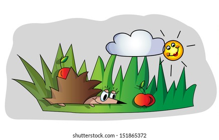 hedgehog