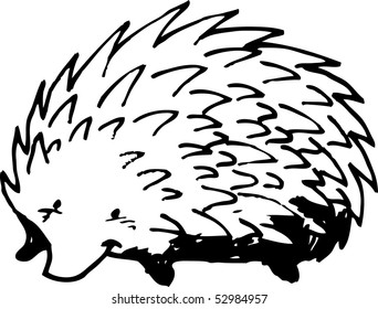 hedgehog