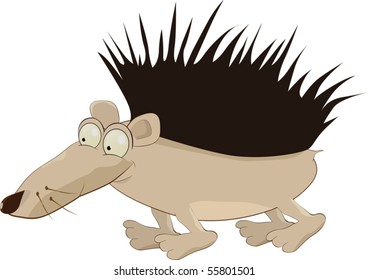hedgehog