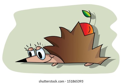 hedgehog 4