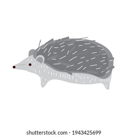 hedgehog animal cartoon hand drawn