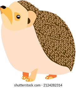 A hedgehog for any use