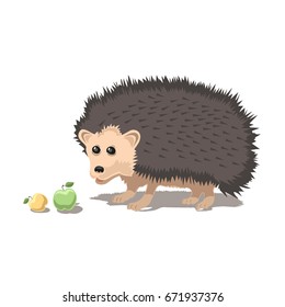 hedgehog apples nature