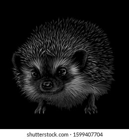 Hedgehog. Artistic, black-and-white, drawn portrait of a hedgehog on a black background. 