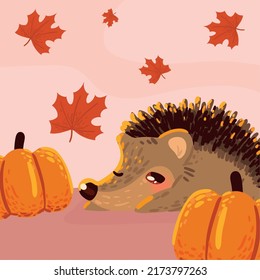 hedgehog autumn pumpkins and leaves season