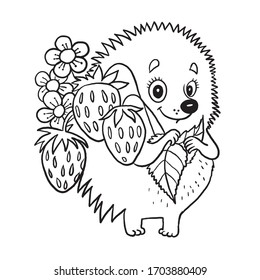 hedgehog with berries, coloring book for children