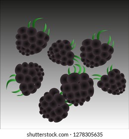 Hedgehog berries on a dark background
