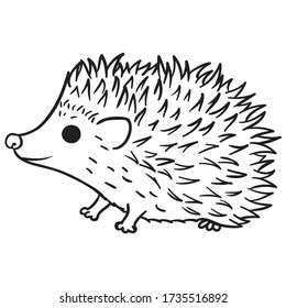 hedgehog black outline freehand drawing, Cute porcupine sketch, forest animal illustration, coloring page image