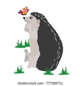 Hedgehog with butterfly