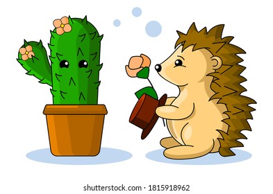 Hedgehog Cactus Meet Date Cute