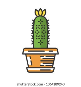 Hedgehog cactus in pot color icon. Echinopsis. Sea-urchin cactus in garden. South America native desert plant. Isolated vector illustration