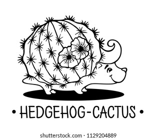 Hedgehog cactus vector cute character illustration coloring black-white sketch flower succulent hand drawn