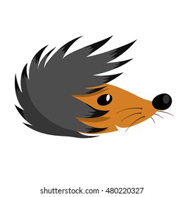 Hedgehog cartoon characters with mustache. Needles are stylized in the form of hairstyle.