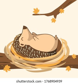 Hedgehog Cartoon Sleeping at Nest Porcupine Cute Animals 