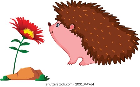 Hedgehog cartoon vector art and illustration