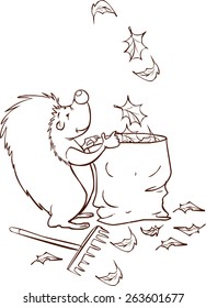 Hedgehog collect leaves