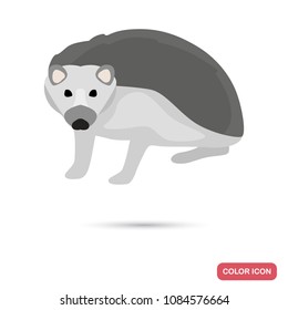 Hedgehog color flat icon for web and mobile design