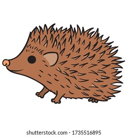 hedgehog colored freehand drawing, Cute porcupine sketch, forest animal illustration, coloring page image