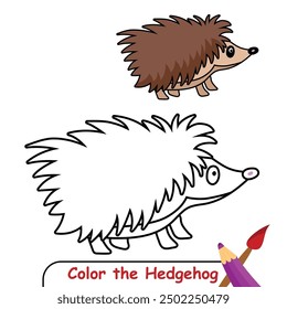 Hedgehog coloring page, coloring book for kids, hedgehog isolated vector, hedgehog drawing coloring book for children