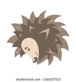 The hedgehog curled up in a ball. Hedgehog is sleeping. Vector isolated image. Wild forest animal