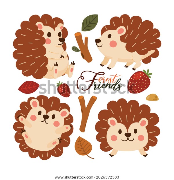 Hedgehog Cute Character Forest Animal\
Cartoon Set Design, Vector,\
Illustration