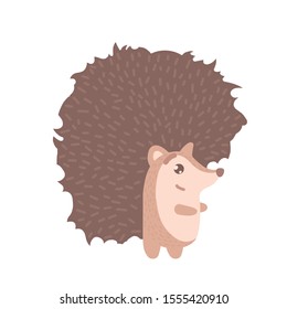 Hedgehog, cute vector illustration on white background