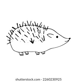 Hedgehog in doodle style on an isolated white background.