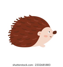 Hedgehog Drawing on White Background