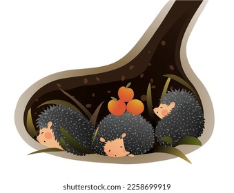 Hedgehog family sleeping or hibernating in a den or burrow. Cute hedgehog animal habitat illustration for children. Kids animal house cartoon, inside the urchin hole. Vector drawing for kids.