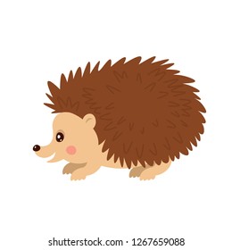 Hedgehog in flat cartoon style.