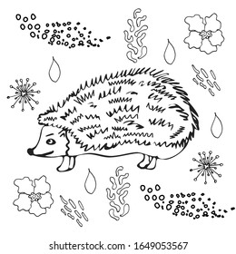 Hedgehog flat hand drawn illustration. Cute cartoon animal character on botanical background. Wild animal vector poster 