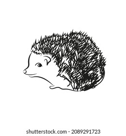 Hedgehog, flat style vector illustration