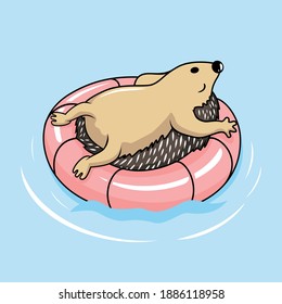 Hedgehog of the Float Cartoon Porcupine