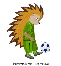 Hedgehog football player. Isolated on a white background. Vector illustration.