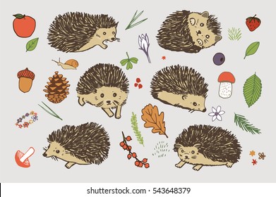 hedgehog forest animals set