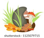 hedgehog in forest eats mushroom. cartoon vector illustration.