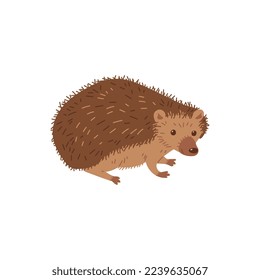 Hedgehog funny wild nature animal with spikes and spines, flat cartoon vector illustration isolated on white background. Hedgehog adorable forest animal.