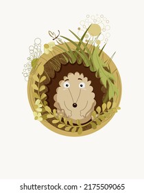 hedgehog in the grass in summer