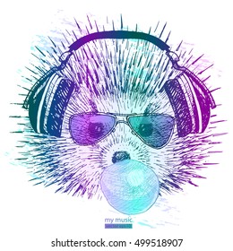 hedgehog with headphones and glasses inflates chewing gum. print on t-shirt.vector