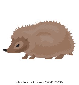 Hedgehog icon. Cartoon of hedgehog vector icon for web design isolated on white background