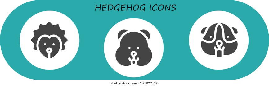 hedgehog icon set. 3 filled hedgehog icons.  Collection Of - Hedgehog, Hamster icons