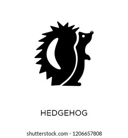 Hedgehog icon. Hedgehog symbol design from Animals collection. Simple element vector illustration on white background.