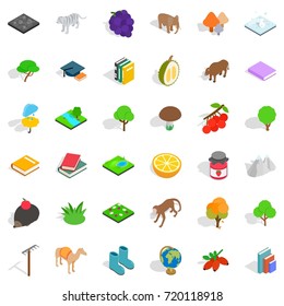 Hedgehog icons set. Isometric style of 36 hedgehog vector icons for web isolated on white background