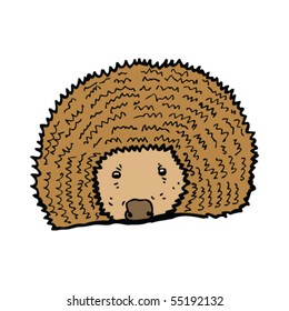 hedgehog illustration