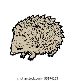 hedgehog illustration