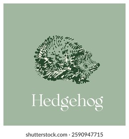 Hedgehog Illustration on Minimalist Background